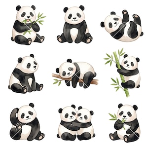 May include: Watercolor illustrations of pandas in various poses. Some pandas are eating bamboo, sitting, or hugging. The pandas are black and white with a cute, friendly appearance. The illustrations have a soft, artistic style.