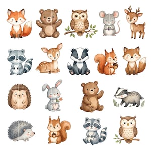 Op de afbeelding: Een verzameling aquarel illustraties van verschillende bosdieren, waaronder een vos, beer, uil, muis, hert, wasbeer, eekhoorn, egel, konijn en das. Elk dier is afgebeeld in een schattige, cartoonachtige stijl met zachte kleuren en gedetailleerde kenmerken.