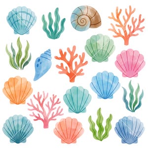 May include: A collection of watercolor illustrations featuring various seashells, coral branches, and seaweed in shades of blue, green, orange, and pink. The set includes fan-shaped shells, spiral shells, and branching coral structures on a white background.