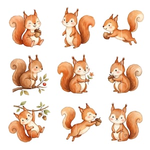 May include: Nine watercolour illustrations of cartoon squirrels in various poses. The squirrels are shades of brown and orange, with fluffy tails and cute expressions. Some hold acorns or flowers, while others are perched on branches.