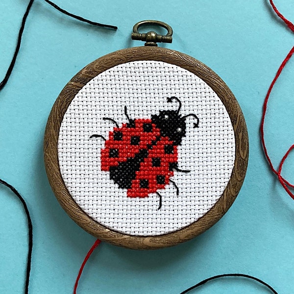 Ladybird Cross Stitch Kit - Beginners Mini Counted Cross Stitch Ladybug - DIY Craft Kits, Wildlife Needlepoint