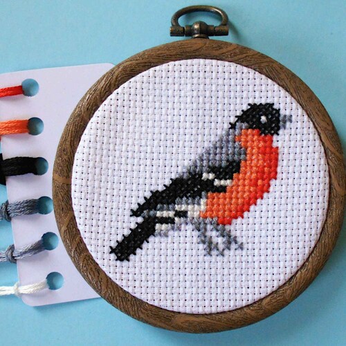 Cross Stitch Kit Beginner DIY Counted Cross Stitch Kits I Etsy