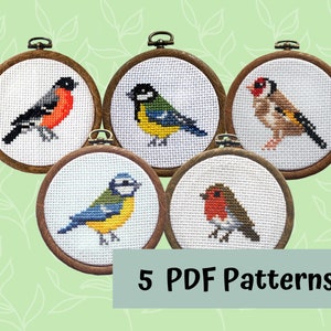 Op de afbeelding: Vijf borduurpatronen met verschillende vogelontwerpen. De patronen worden getoond in houten borduurringen. De vogels omvatten een roodborstje, een blauwe mees, een distelvink en twee variaties van een blauwe mees.