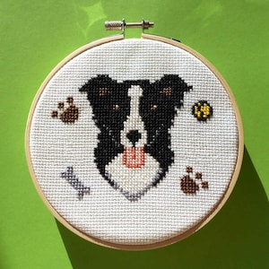 Border Colle Cross Sttch Pattern - Download - Best Lookng Colle Dog