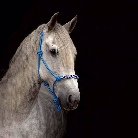 Natural Horsemanship Rope Halter Parelli Style Horse Halter