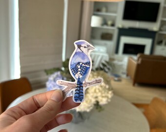 Bluejay Vinyl Sticker: Original Art Bird Decal