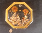 Retro Lucite Dried Flower Trivet Hot Pad Plate 6 Inch Octagon Orange Brown Kitchen Decor Seventies Style Embedded Floral American 1970 39 s USA
