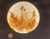 Retro Lucite Dried Flower Trivet Hot Pad Plate 5 Inch Round Orange White Kitchen Decor Seventies Style Embedded Floral American 1970 39 s USA