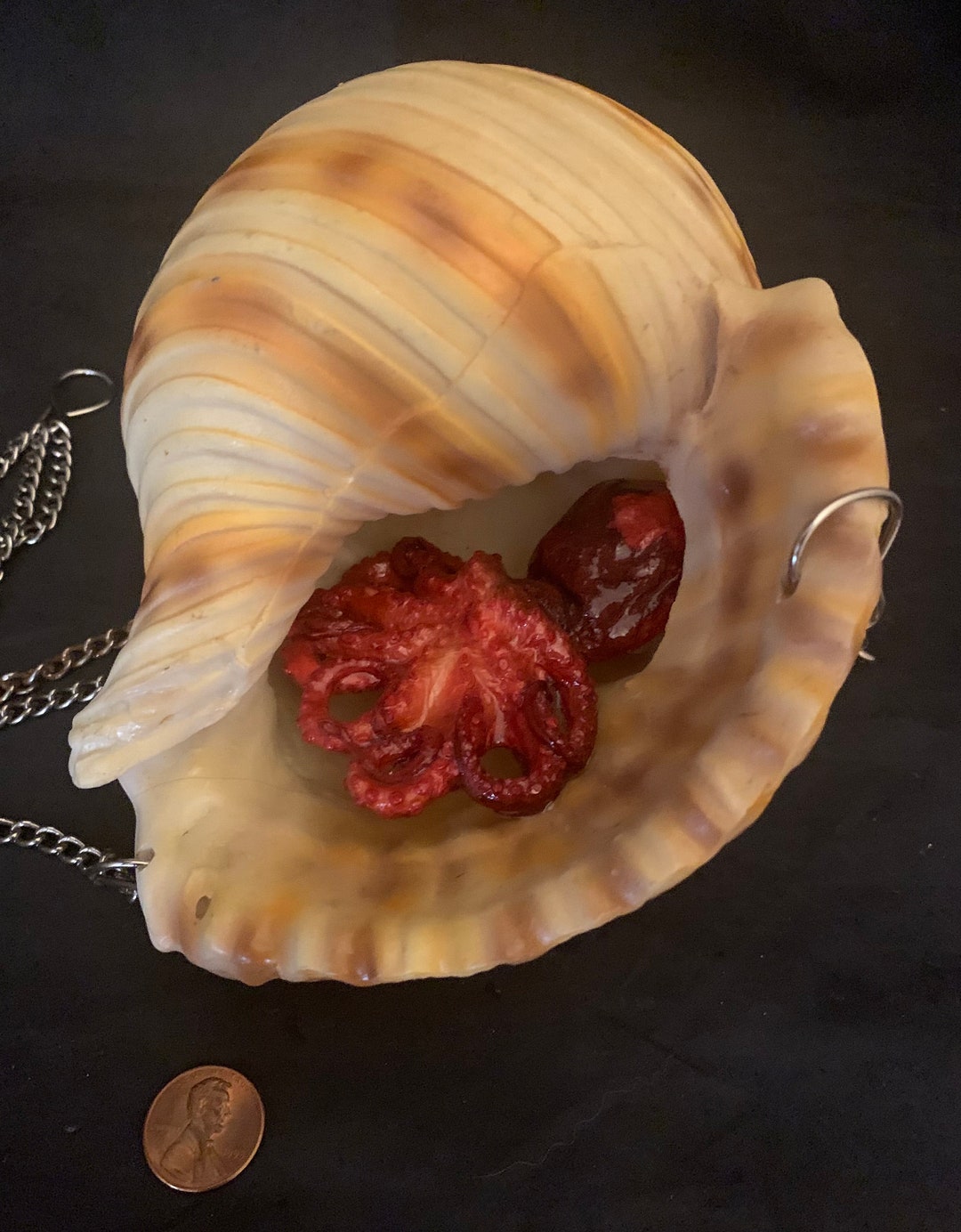 Hanging Shell resin Real Octopus freeze Dried Oddity Curiosity Vintage