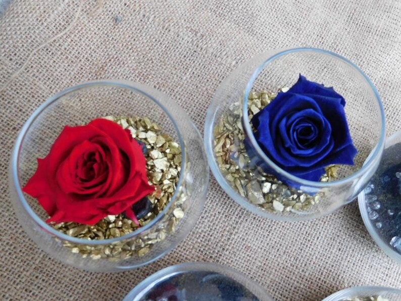 Eternal Rose Preserved Rose Long Lasting Rose Freeze Dried Etsy Canada