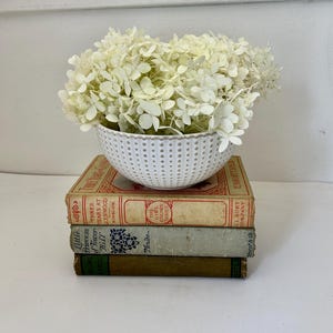 May include: A white ceramic bowl with a dotted pattern filled with white flowers sits atop a stack of three vintage books. The books have aged covers with titles and text in red, blue, and green.