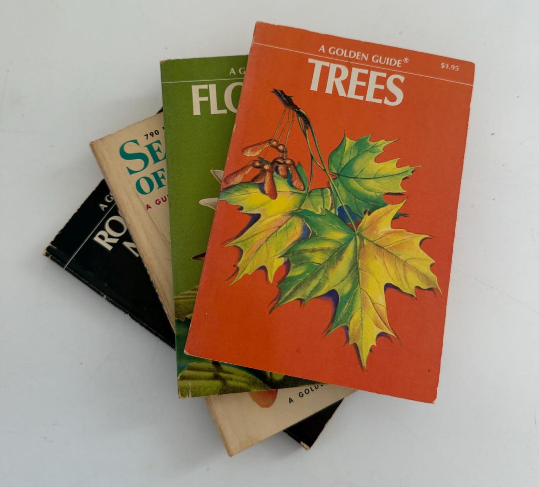 Old Nature Guide Vintage Golden Nature Guides | Set of 4 | Trees, Flowers, Sea Shells ...