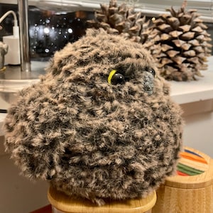 Handmade crochet fluffy owlet bird/ crochet Chubby Bird/ owl bird toy