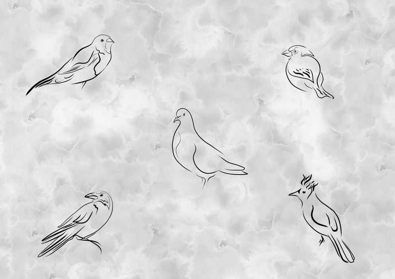 Common Backyard Birds Vector Clip Art Hand Drawn Printable Etsy