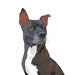 see more listings in the Custom Pet Portraits section