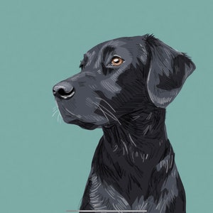 Personalised Colourful Digital Pet Portraits - Custom Artwork for Cat and Dog Lovers - Unique Gifts