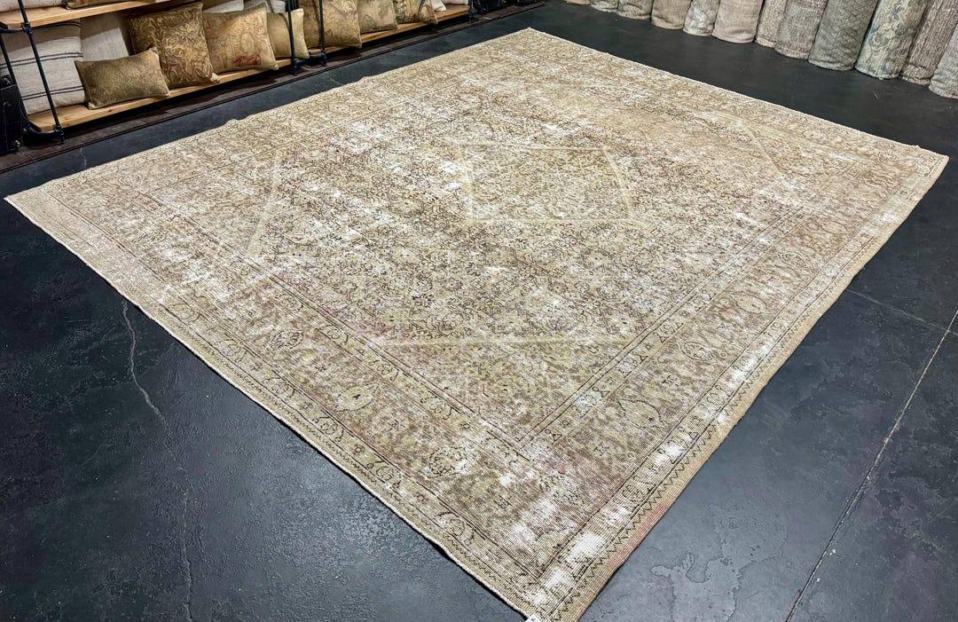 Sage Muted Rug Hold for MW*10’ X 12’4 Classic Vintage Rug Muted Greige, Taupe & Sage ...