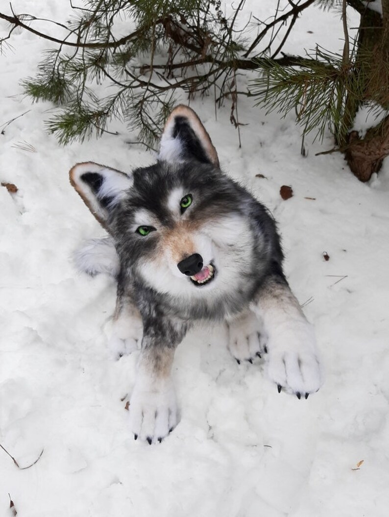 Réaliste en peluche loup Pet portrait peluche Collection jouet Etsy