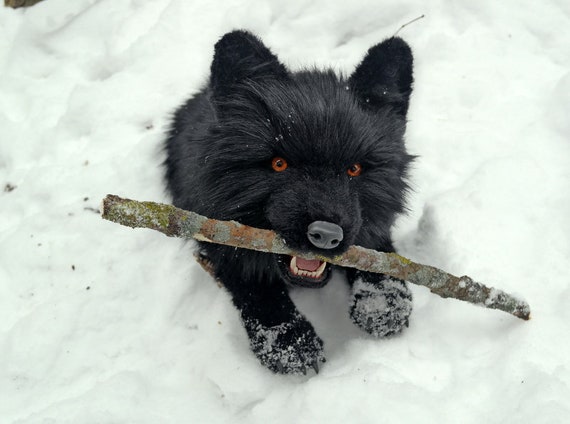 black wolf stuffed animal
