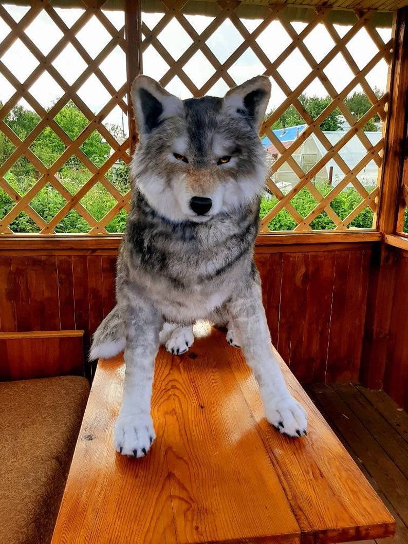 Realistic plush wolf Pet portrait plush Collectible pet toy Etsy