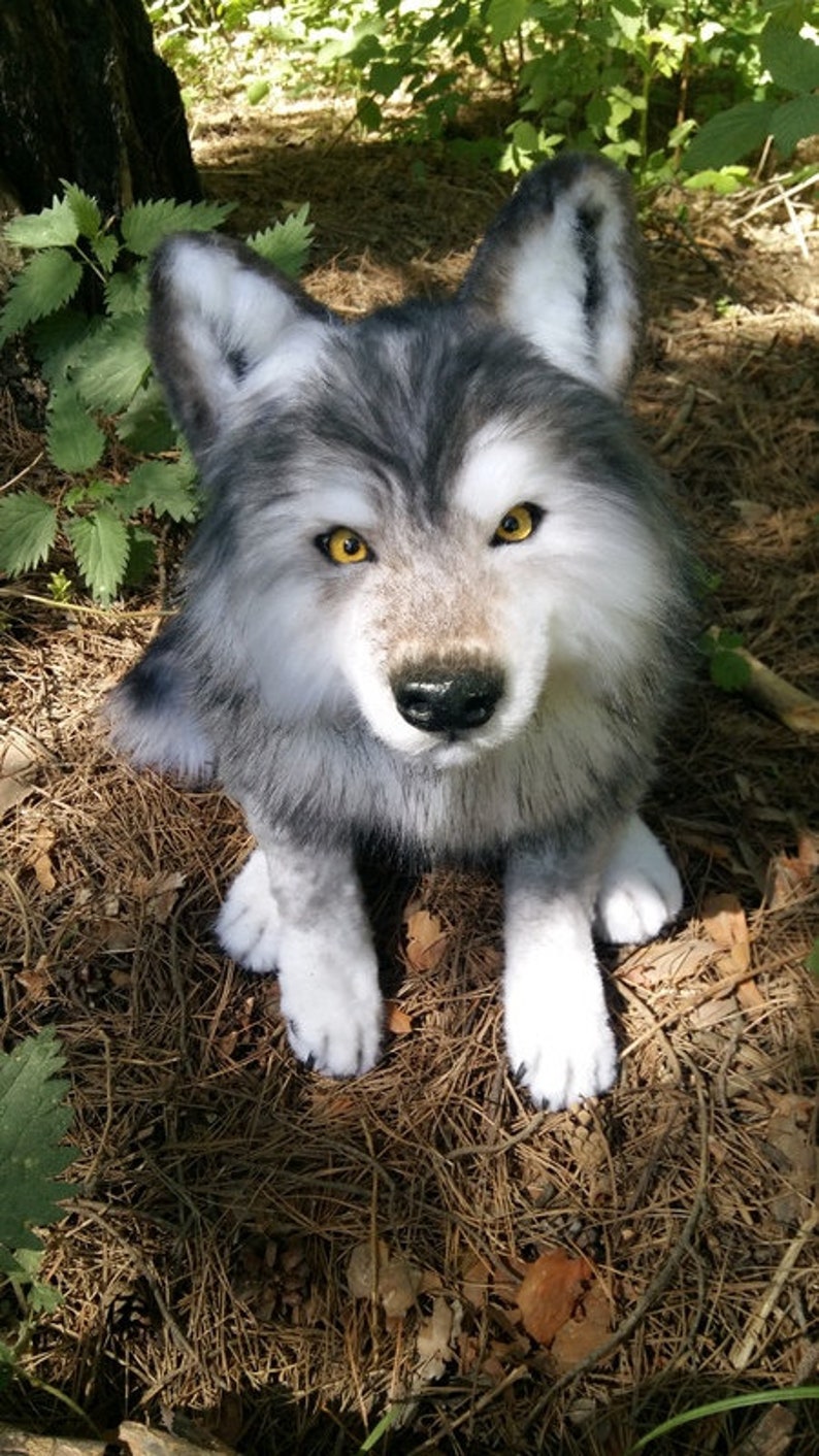 Realistic plush wolf Pet portrait plush Collectible pet toy Etsy