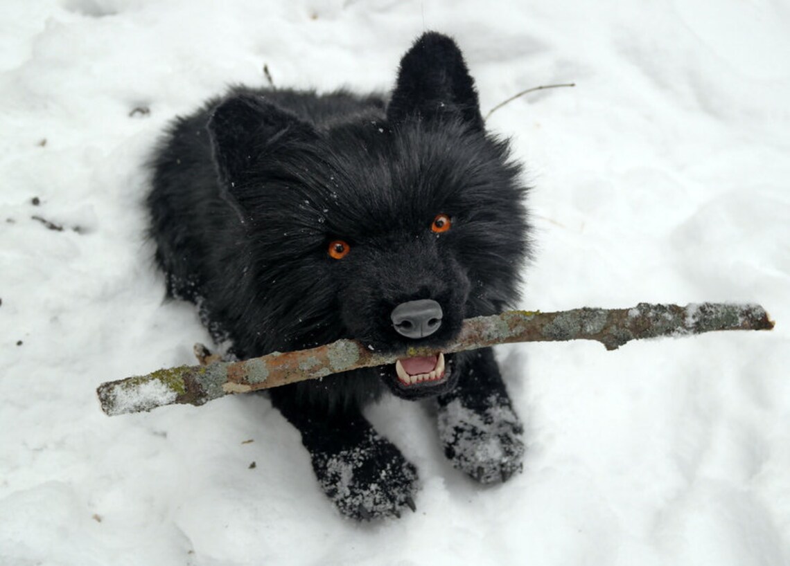 Realistic plush black wolf Pet portrait plush Collectible pet Etsy