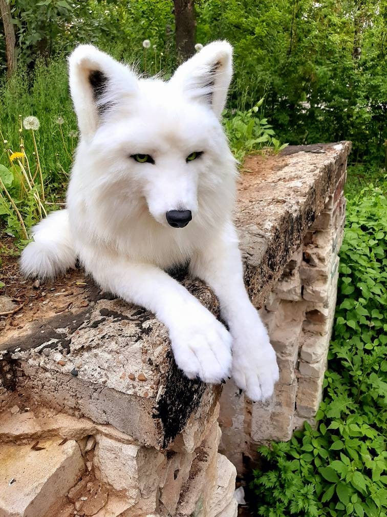 Realistic plush white wolf toy Collectible pet toy Replica for | Etsy