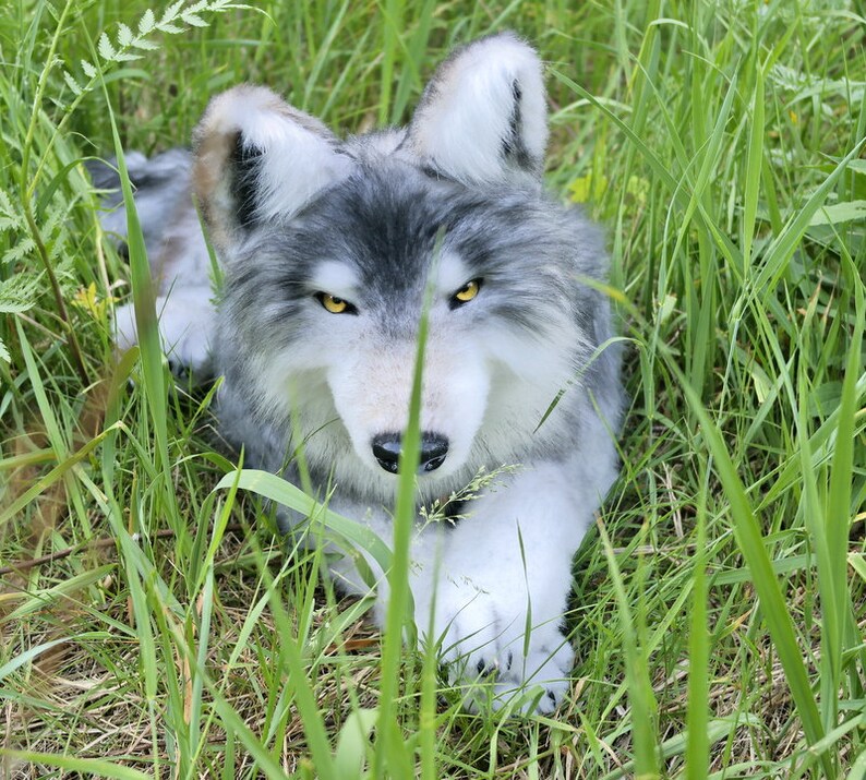 realistic wolf plush