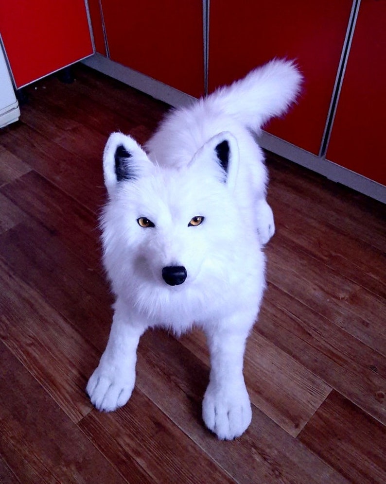 Realistic arctic plush wolf toy Collectible pet toy Replica | Etsy