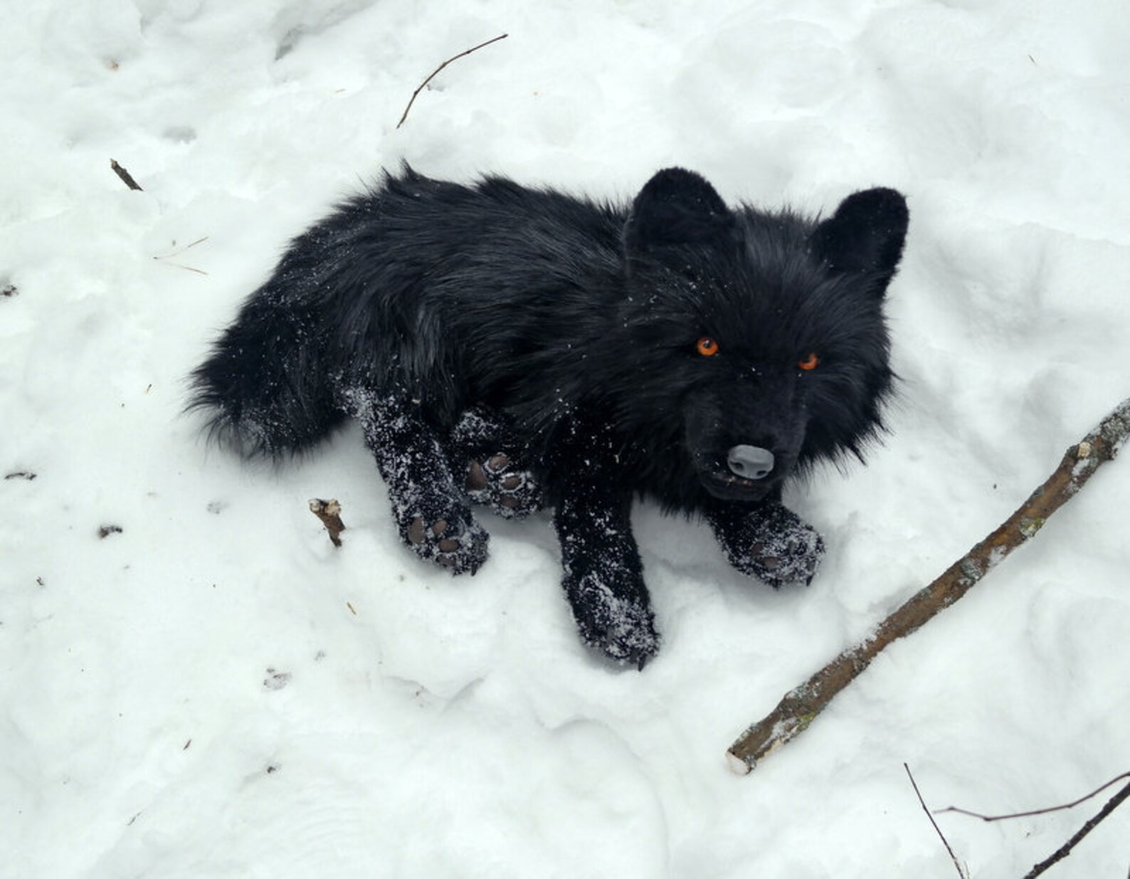 Realistic plush black wolf Pet portrait plush Collectible pet | Etsy