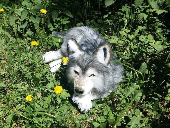 Realiste Loup Peluche Pet Portrait Peluche Collectible Pet Etsy