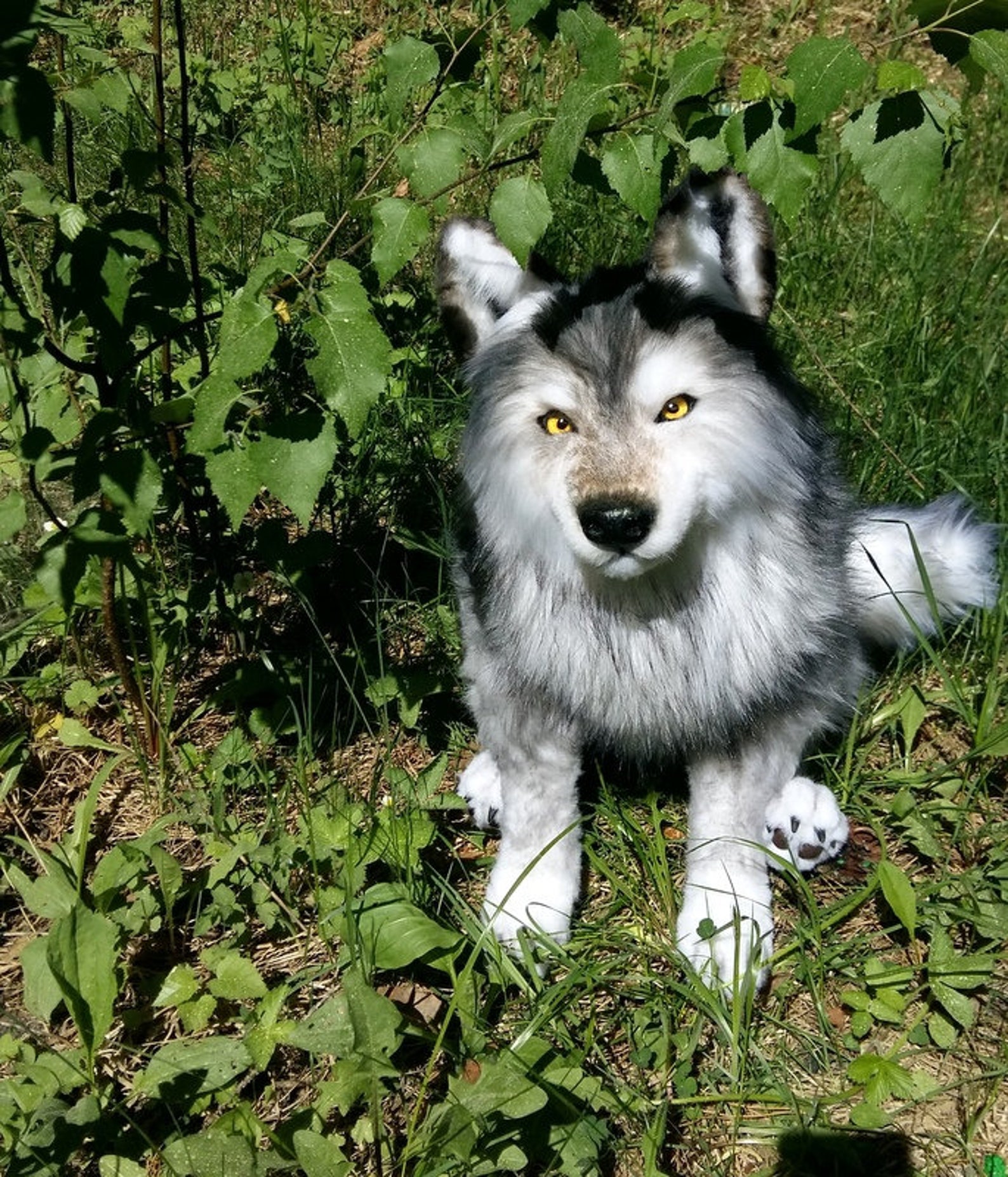 Réaliste loup peluche Pet portrait peluche Collectible pet Etsy