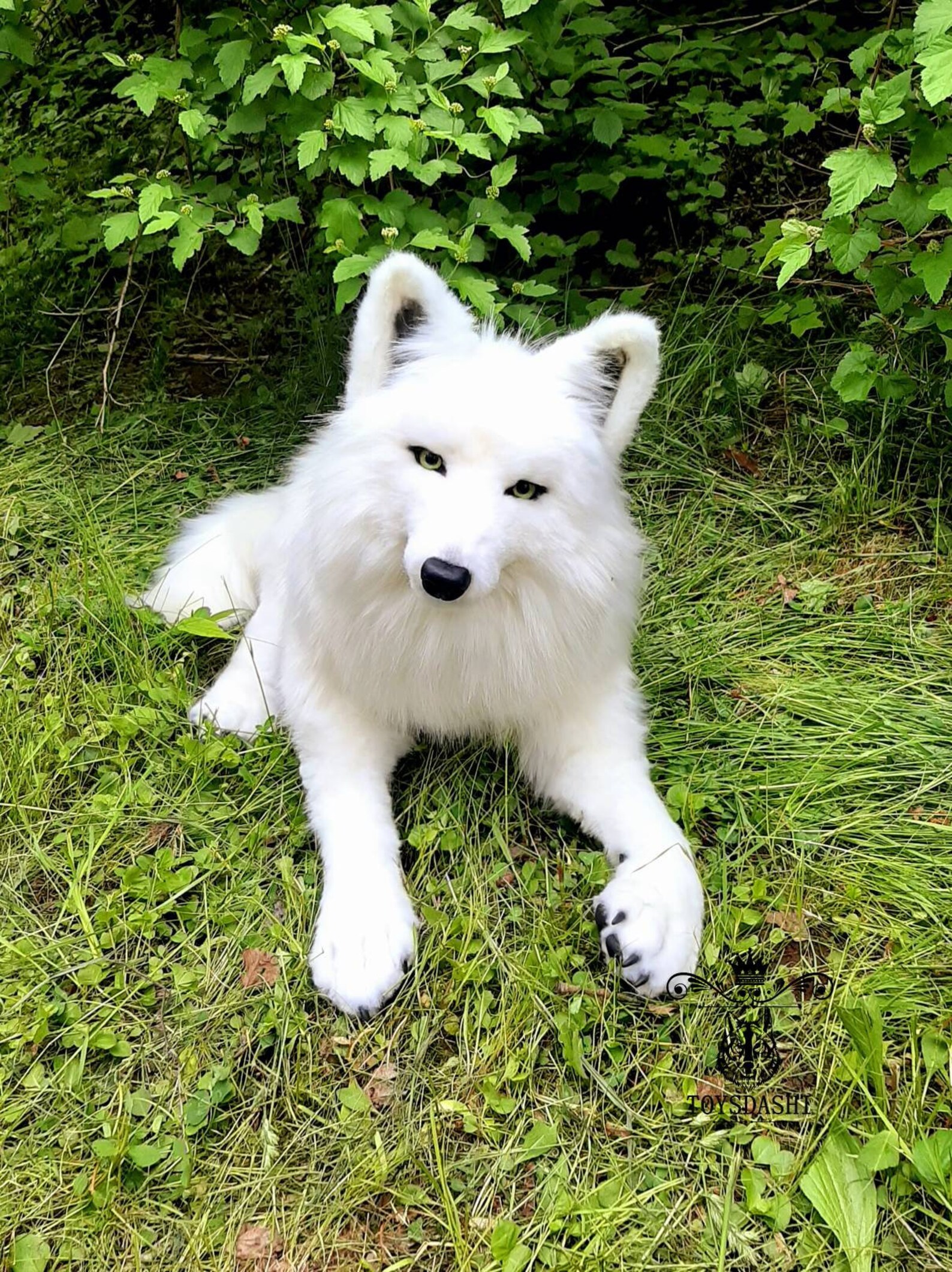 Realistic plush white wolf toy Collectible pet toy Replica for Etsy
