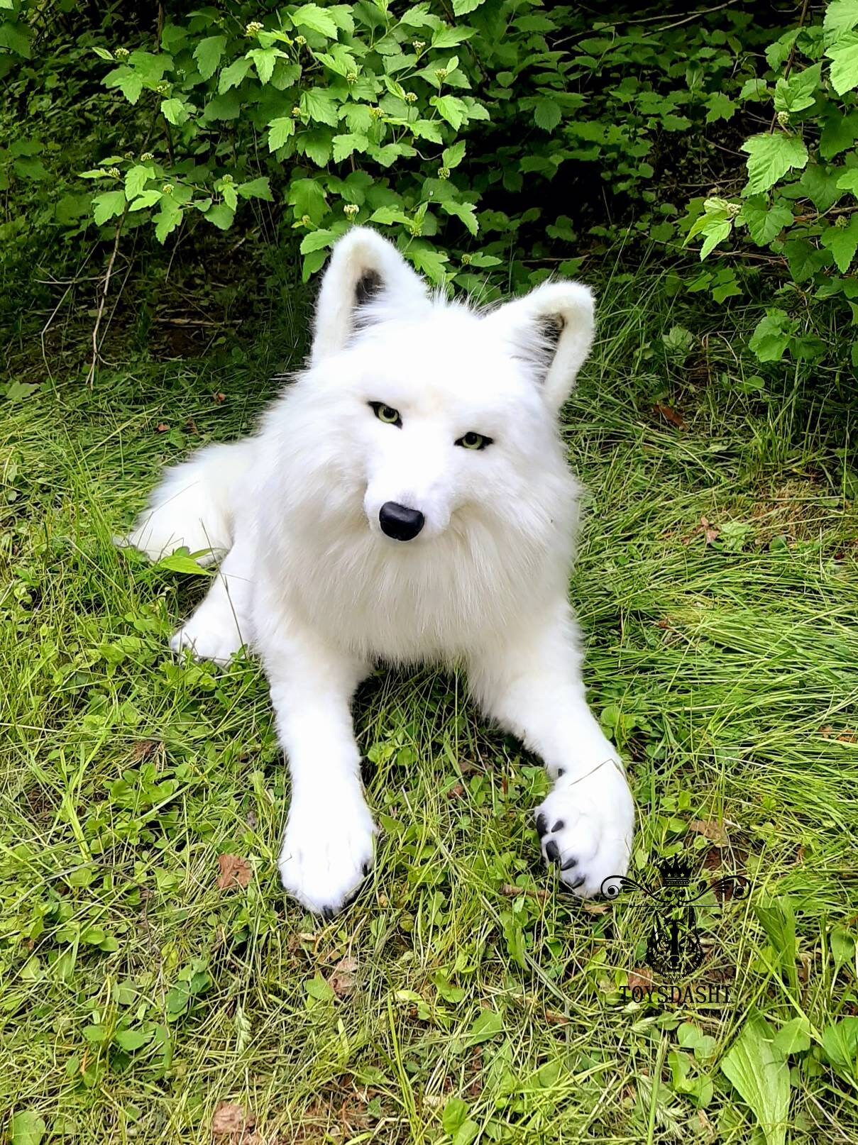 Realistic plush white wolf toy Collectible pet toy Replica for Etsy