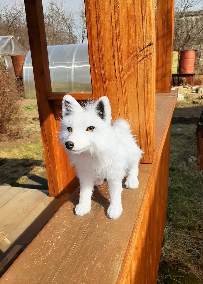 Réaliste en peluche loup Pet portrait peluche Collection jouet Etsy