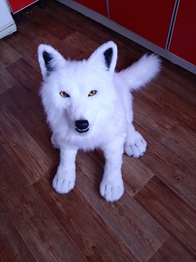 arctic wolf plush arctic wolf plush