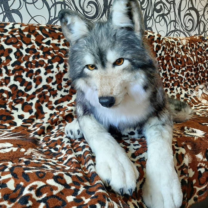 Loup en peluche personnalisé en peluche Pet portrait pelucheux Etsy