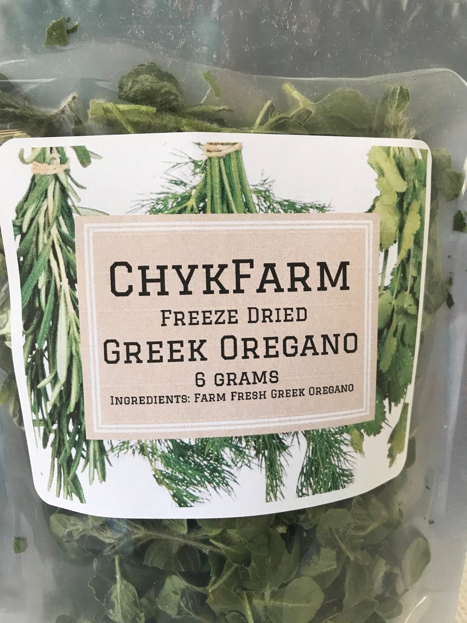 Freeze Dried Greek Oregano greenhouse grown in Maine 6 grams Etsy