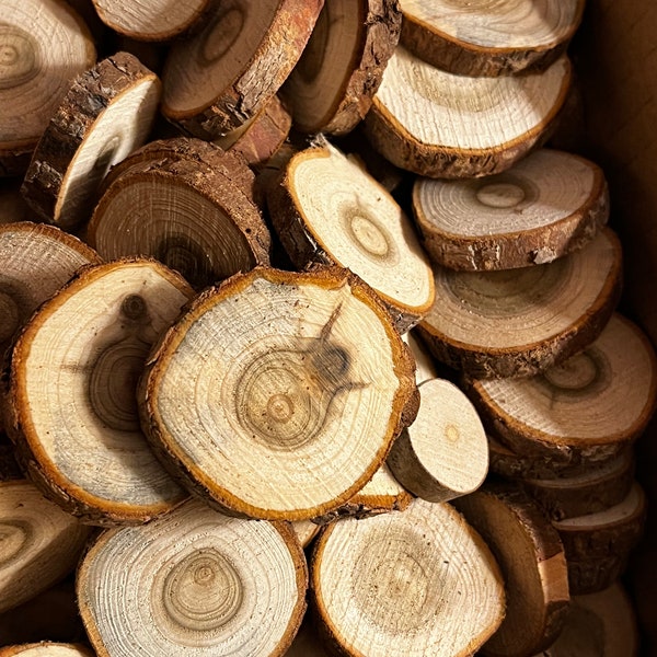 100 Holzscheiben 2-4 cm  Astscheiben lebensbaum Rustikal Baumscheiben Basteln Deko Floristik