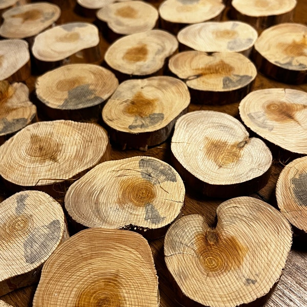 10 x Holzscheiben Wacholder Holz Wacholderbaumscheibe Astscheiben Kreise Baumscheiben skurril  ca 5cm Basteln Deko Floristik Hochzeit advent