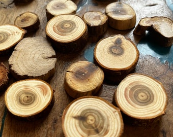17 Holzmagnete aus kleinen baumscheiben Kühlschrankmagnete Holz super stark Neodym Magnet