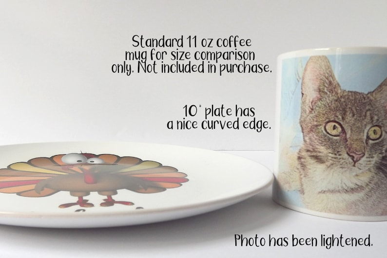 Dinner Plate with Trendy Brown Polka Dots No Melamine Microwave Safe Free Shipping Buy More Save More