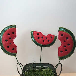 Small Watermelon Slices