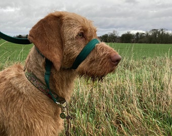 Figura de 8 de plomo