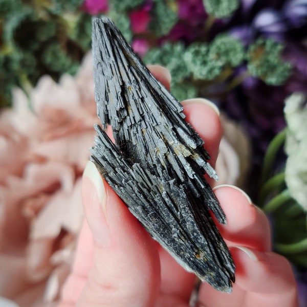 Stunning High Quality Rough Black Kyanite from Brazil