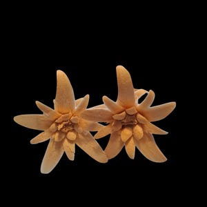 Edelweiss