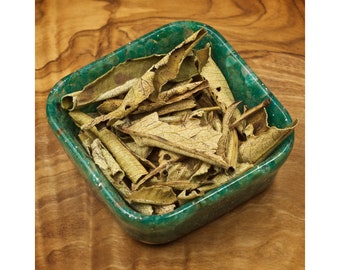 Feuilles de Père Noël Yerba | Yerba Père Noël séchée | Tache DIY | Encens DIY | Herbes d'apothicaire