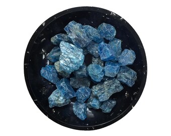 May include: A black bowl filled with blue apatite crystals. The crystals are various sizes and shapes, with some having a more pointed shape and others being more rounded.