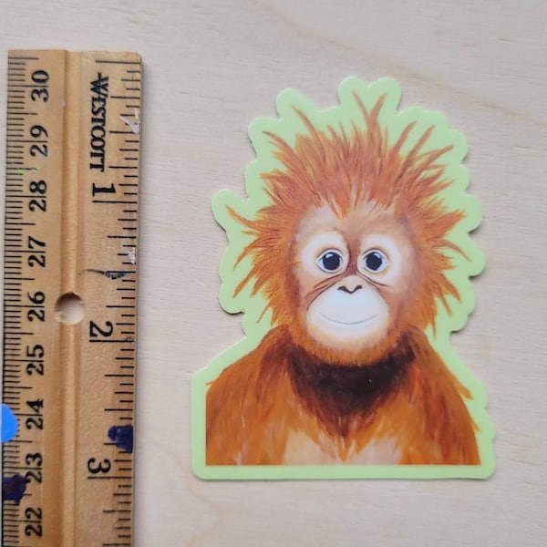 Orangutan Sticker, Ape Sticker, Monkey Sticker, Baby Animal, Endangered Species, Mornings, Bad Hair Day, Vinyl Sticker, Renee Hazen