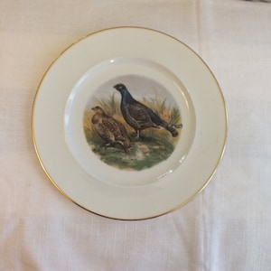 JWK German Plate with Pheasant Western Germany Decorative Bird Plate